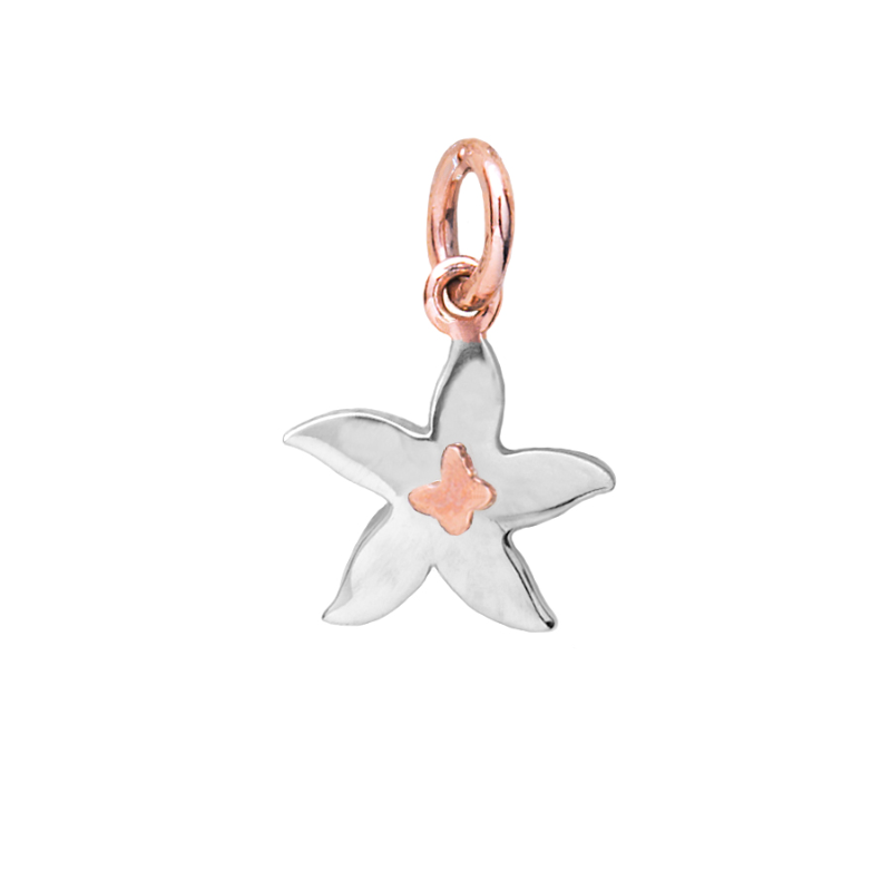 Stellina in argento o oro o in argento oro e smalti.